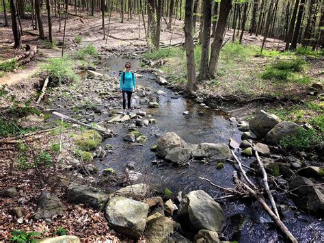 Cold Spring Hike: The Cornish Estate Trail — Explorenza™ — Explorenza®