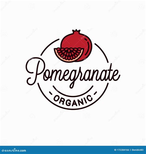 Pomegranate Fruit Drawing Vector Hand Drawn Garnet Fruit. Sketch Of Pomegranates On White ...