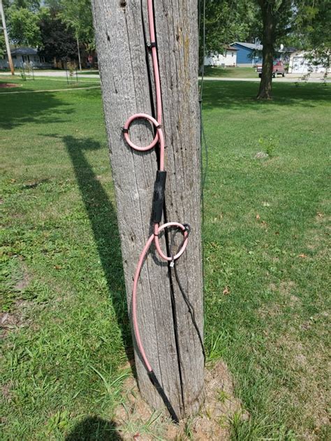 Image result for Loopty Loop Line