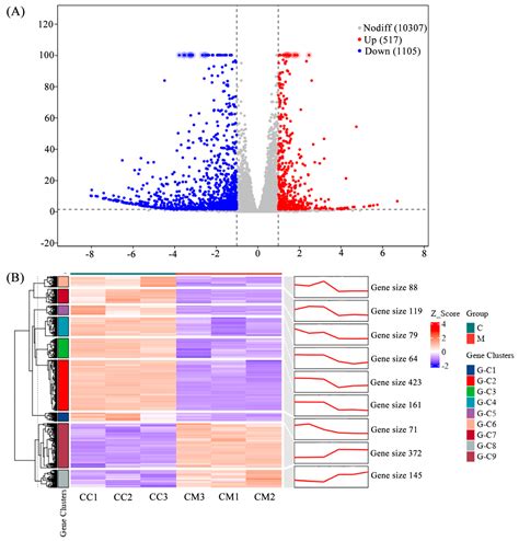 Integrated Transcriptomic and Metabolomic Analysis Reveals Molecular ...
