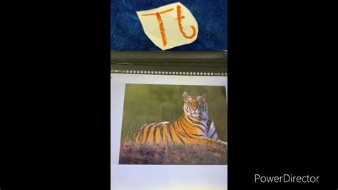 Barney Alphabet Zoo Version Demo Part 的图像结果