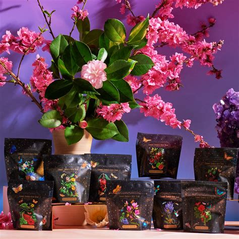 Cosmic Garden | Organic Iced Teas | Magic Hour