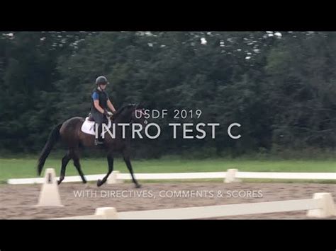 Image result for USDF Intro Test A