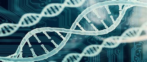 Global Direct-to-Consumer Testing Market 2019 - Business Challenges ...