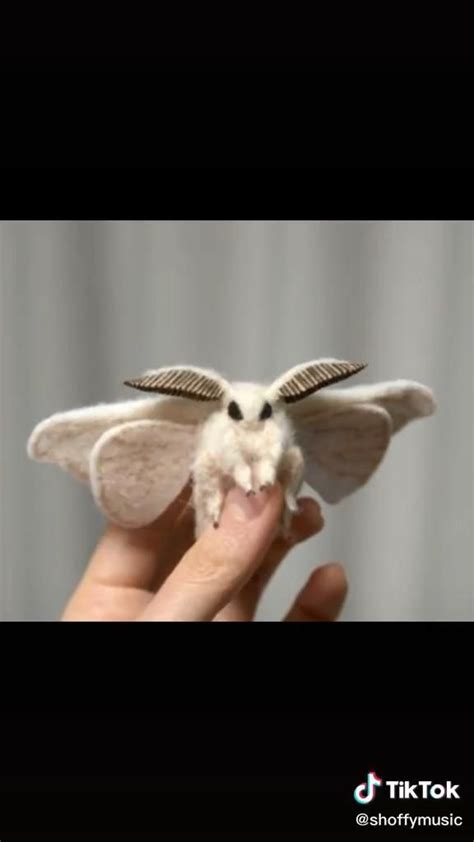 Image result for Moth Corpse Bride Stencil