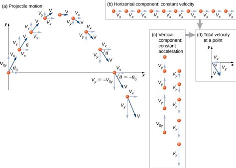 Image result for Graph of Projectile Motion Y