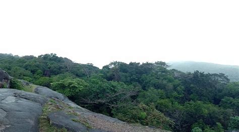 KUNDADRI MIST INN (Thirthahalli) - Inn Reviews, Photos, Rate Comparison ...