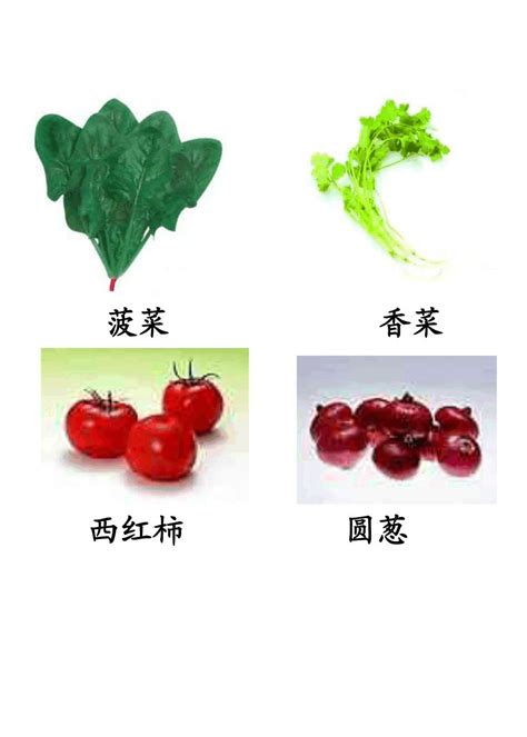 蔬菜图片大全(附名称)_word文档在线阅读与下载_免费文档