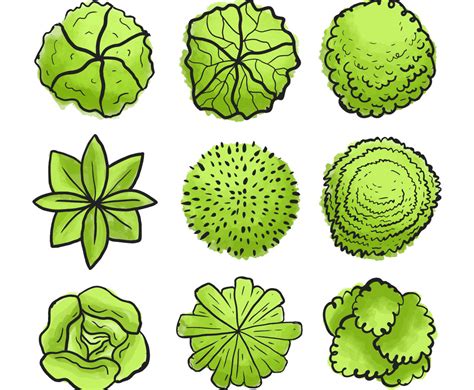 TreePlan 的图像结果