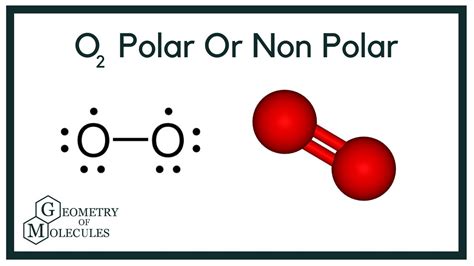 O2 Polar 的图像结果