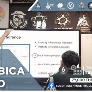 Q Arabica Combo Thai Edition #6 23-29 March 2024 SOCOF BKK, SOCOF ...