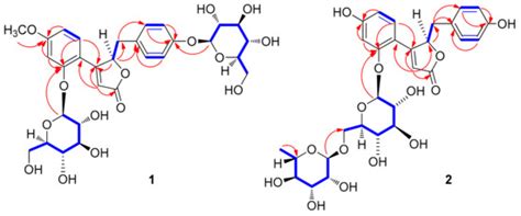 Lobatamunsolides A–C, Norlignans from the Roots of Pueraria lobata and ...