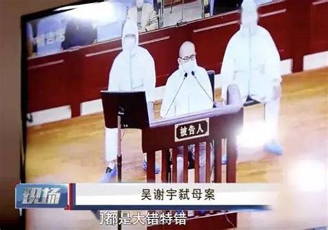 旁听人员：吴谢宇听到判决后人很呆，你认为他在想什么？-其他视频-搜狐视频