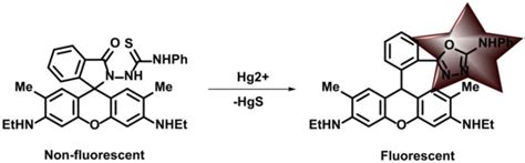 Recent Advances on the Development of Chemosensors for the Detection of ...
