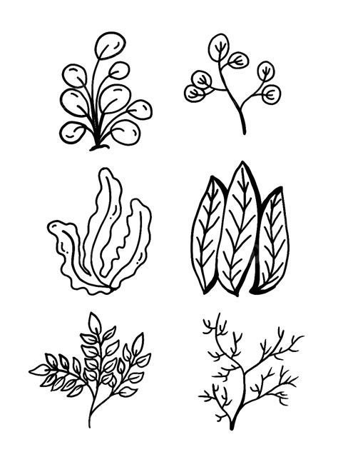 Seaweeds Clipart Black And White Flower