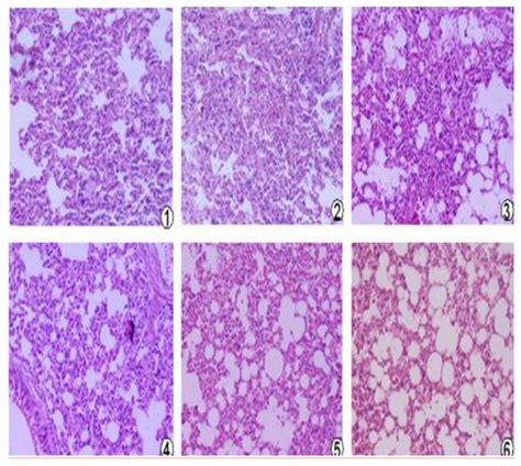 Viruses | March 2014 - Browse Articles