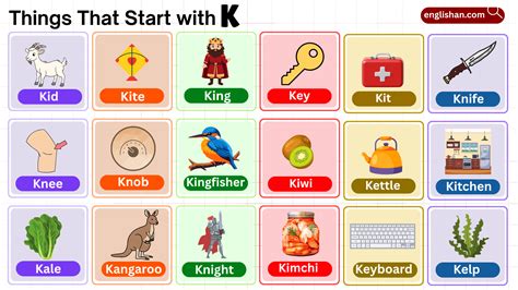 List of 500 Things That Start with K – Foods, Animals, School Items