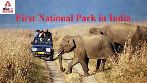 First National Park in India- Check India's First National Park