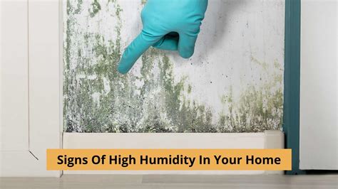 Why Is The Humidity High In My House | Gas Furnace