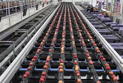 Image result for Modern Food Processing Technology