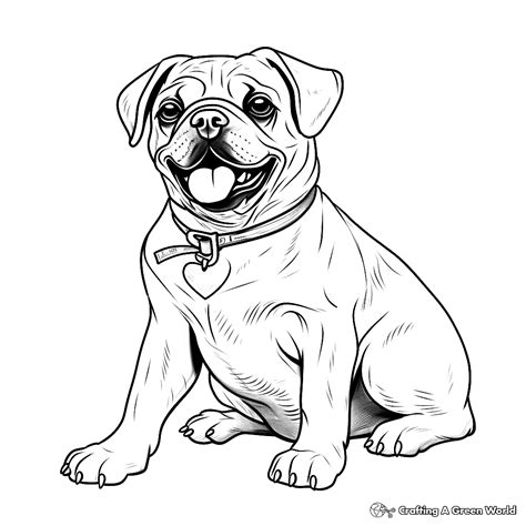 Adult Pug Coloring Pages - Free & Printable!