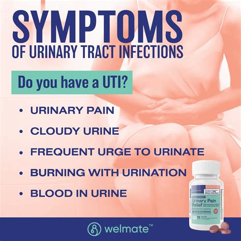 Cloudy Urine Uti