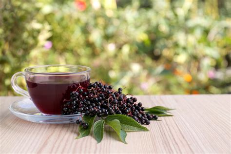 Unlock the Secrets of Elderberry Tea: Benefits, Preparation, and Tips
