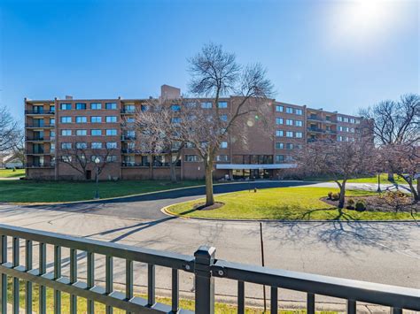 Are Dogs Allowed At Olympic Park Schaumburg