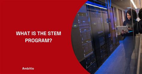 Stem Program 的图像结果