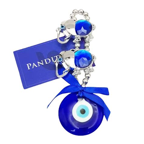 Rudraksha Authenticity Guide: How to Choose Genuine Beads - Pandit.com