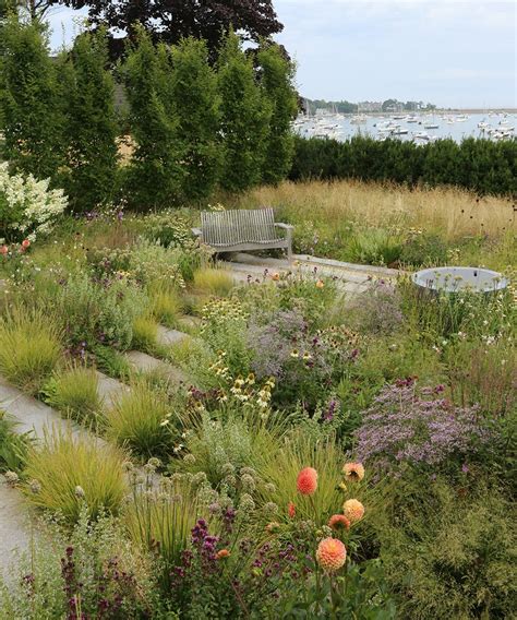 Native Plant Landscape Design 的图像结果