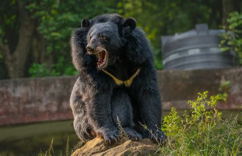 Become a Certified Youth Peer Supporter in Ohio - NAMI Ohio