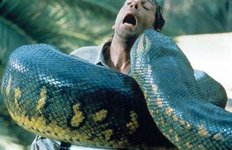 现实中的“狂蟒之灾”，亚马逊丛林之王，世界上最大的蛇—森蚺_体型_猎物_电影