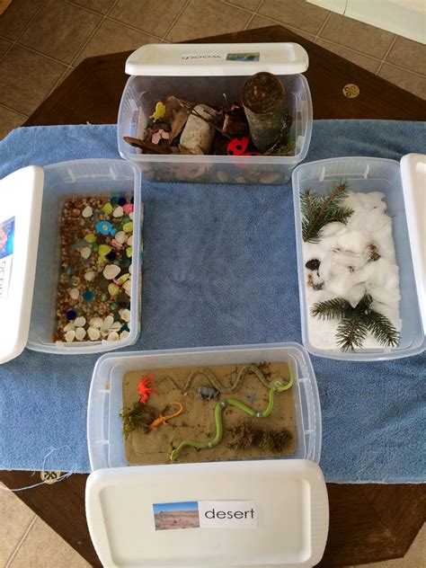 Habitats Sensory Bins - Desert, Tundra, Ocean, and Woods Habitat ...
