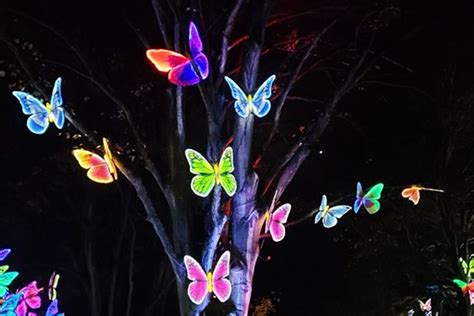 Animatronic Butterfly | Mesmerizing LED Garden Décor – Glow Garden