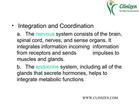 Image result for Body Function in Coding