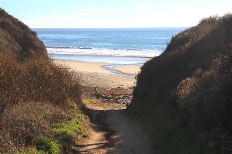 Cove Beach at Ano Nuevo State Reserve in Pescadero, CA - California Beaches