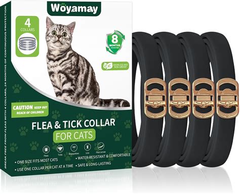 Is It Safe To Put A Flea Collar On An Outside Cat at Bessie Humble blog