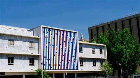 Education - Heersink School of Medicine