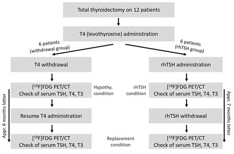 Brain [18F]Fluorodeoxyglucose Metabolism Assessment under ...