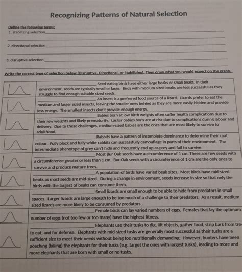 Define the following terms: 1. stabilizing | StudyX