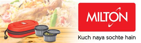 Buy Milton Nutri Stainless Steel Insulated Tiffin Set, 320ml, Set of 2 ...