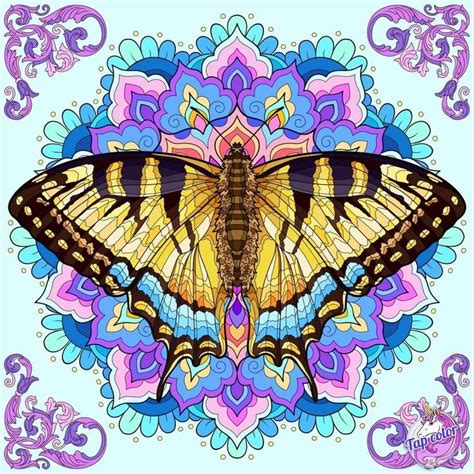 Image result for Butterfly Drawing Tutorial
