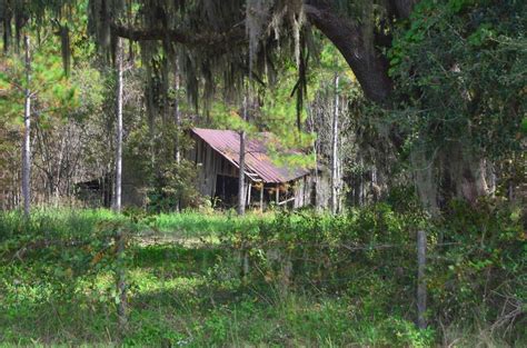 Rosewood before the massacre | Dunn History