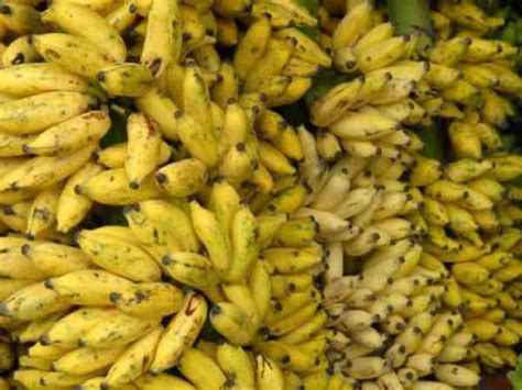 கிலோ வாழைப்பழம் ரூ3,300.. காபி விலை ரூ7,400 மேல்.. கிம் ஜாங்-கிற்கு ...