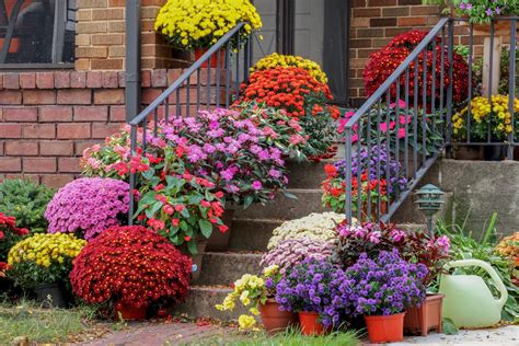 8 Outdoor Plants to Get Ready for the Fall | Family Handyman