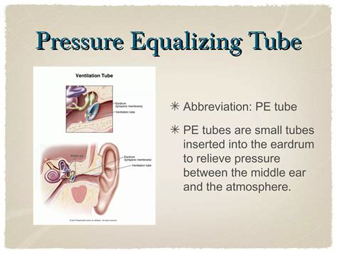 Chapter 13 Presentation | PPT