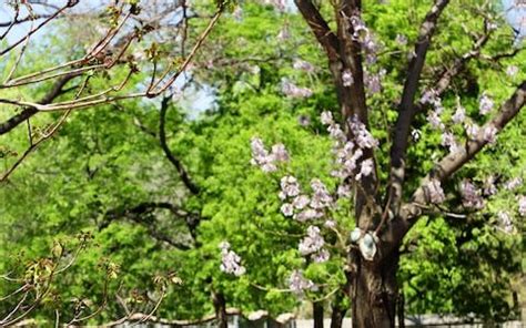 Image result for 必应上的热点