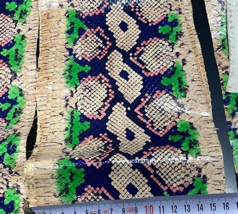 Leather Work Snake Skin 的图像结果