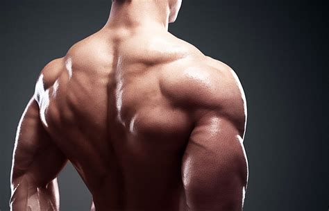 Image result for Musculation Dos